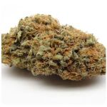 Шишки AK47 (Гидропоника, Бошка) VHQ в Лобне Шишки AK47 (Гидропоника, Бошка) VHQ в Лобне